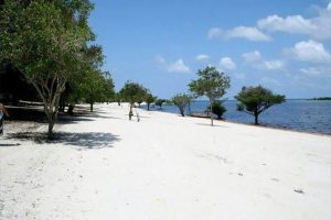 Conheça as belezas naturais escondidas nos arredores de Parintins
