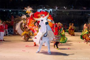 Veja fotos e vídeos do Garantido no Festival de Parintins 2019
