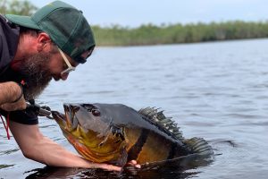 Começa a temporada de pesca esportiva no Amazonas