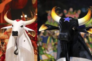 Festival de Parintins: entenda a rivalidade histórica dos bois Caprichoso e Garantido