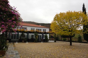 Quinta Nova, conforto cercado pelos vinhedos do Douro