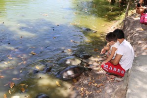 Bosque da Ciência reúne mostra da fauna e flora da Amazônia