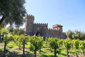 Cinco lugares perfeitos para enoturismo e gastronomia