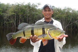Temporada de pesca esportiva aos gigantes da RDS Uatumã. Veja preços dos pacotes