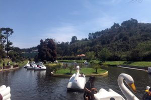 Campos do Jordão, em São Paulo, gostinho de Suíça sem sair do Brasil
