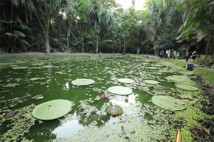 Museu da Amazônia abre normalmente no feriado da Páscoa