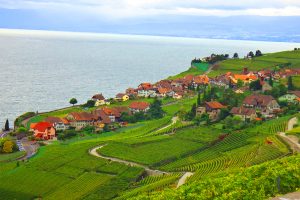 Lavaux, a região vinícola da Suíça com paisagens de tirar o fôlego   