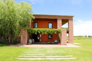 Um roteiro por vinícolas de Mendoza
