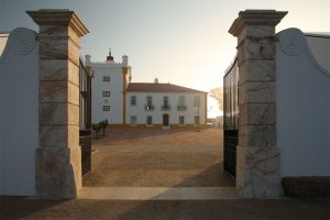Conheça as maravilhosas vinícolas do Alentejo que também são hotéis