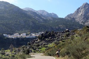 Na rota dos Pueblos Blancos, na Andaluzia: toda a beleza da espanha rural