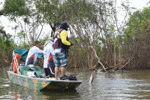 Veja como se regularizar para a temporada de pesca esportiva no Amazonas