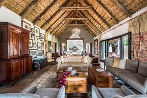 Completando 40 anos, hotel de safári sul-africano é queridinho dos brasileiros
