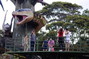 Parque Sumaúma oferece lazer e convivência com a natureza no feriadão