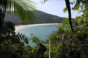 15 praias para conhecer no Litoral Norte de São Paulo
