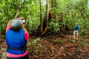 Dez Unidades de Conservação do Amazonas reabrem para visitação pública