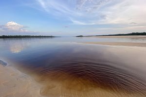 A paradisíaca praia do Camaleão, no arquipélago das Anavilhanas, em Novo Airão