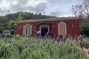 Le Jardin: a beleza das lavandas vira atração em Gramado
