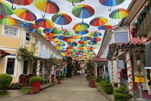 Penedo: conheça as atrações da única colônia finlandesa do país