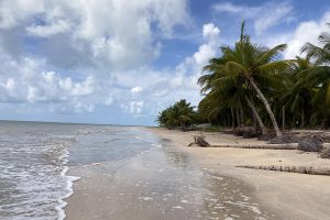 São Miguel dos Milagres: praias paradisíacas e piscinas naturais na Costa dos Corais