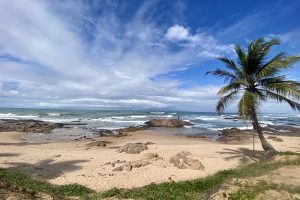 Litoral norte da Bahia: conheça as belas praias da Estrada do Coco/Linha Verde