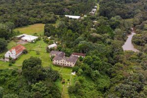Conheça os atrativos de Tefé, cidade que fica no coração da Amazônia