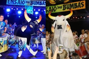 Como curtir o ritmo dos bumbás de Parintins sem sair de Manaus