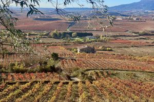 Roteiro pela Rioja, na Espanha: tudo o que você precisa saber